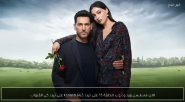 بث مباشر.. مشاهدة أحداث الحلقة 16 من مسلسل ورد وذنوب عبر قناة Kanal D